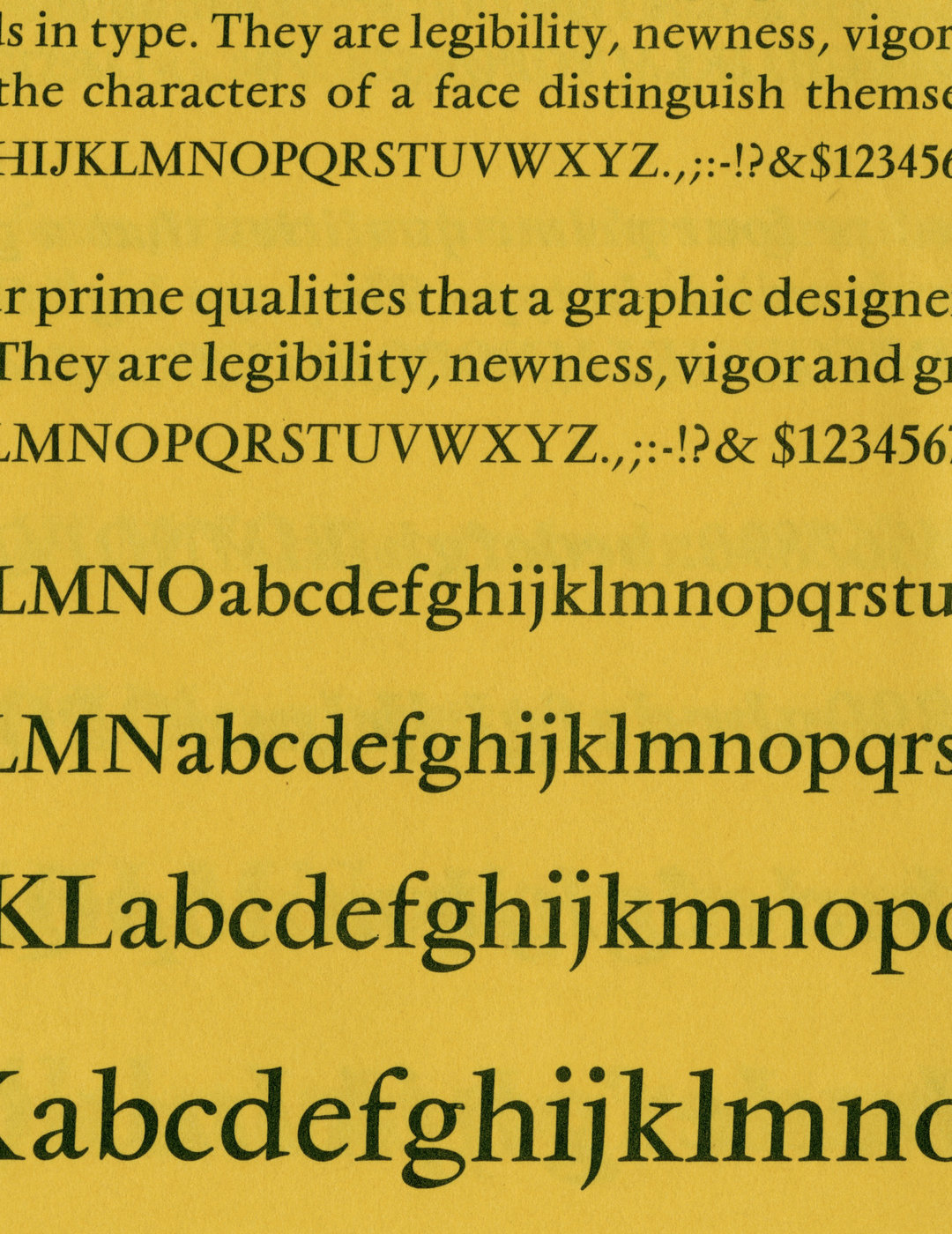 Reference image 2
